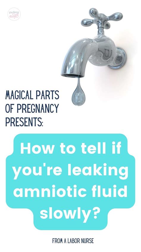 small amount of amniotic fluid leak|How to tell if your water is leaking slowly